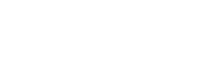 zlata firma